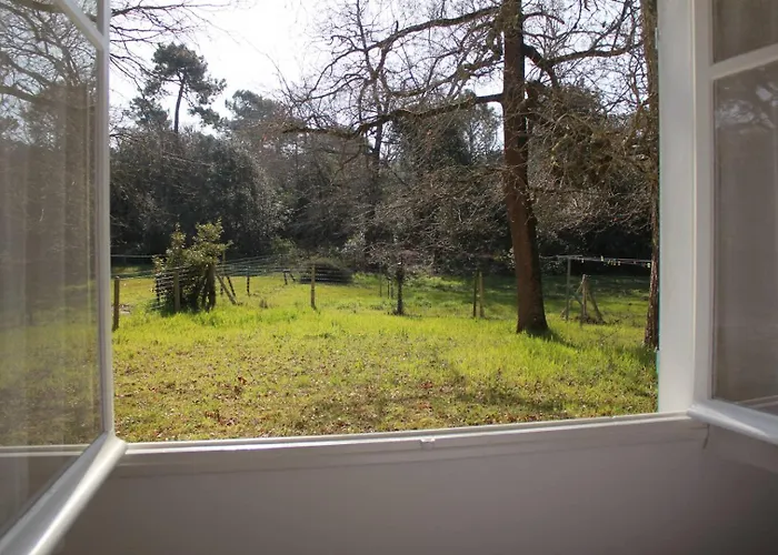 - Rez-de-chaussee Gauche - 90m De La Διαμέρισμα *